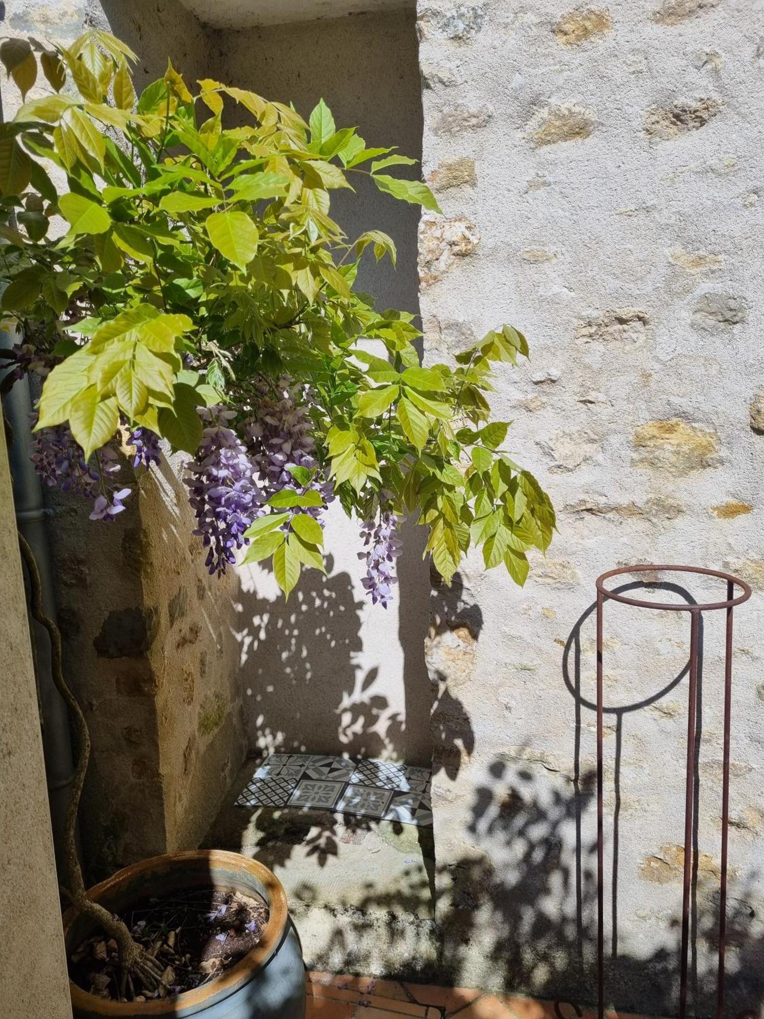 Charmante Maison Ancienne Avec Cour 알랑송 외부 사진